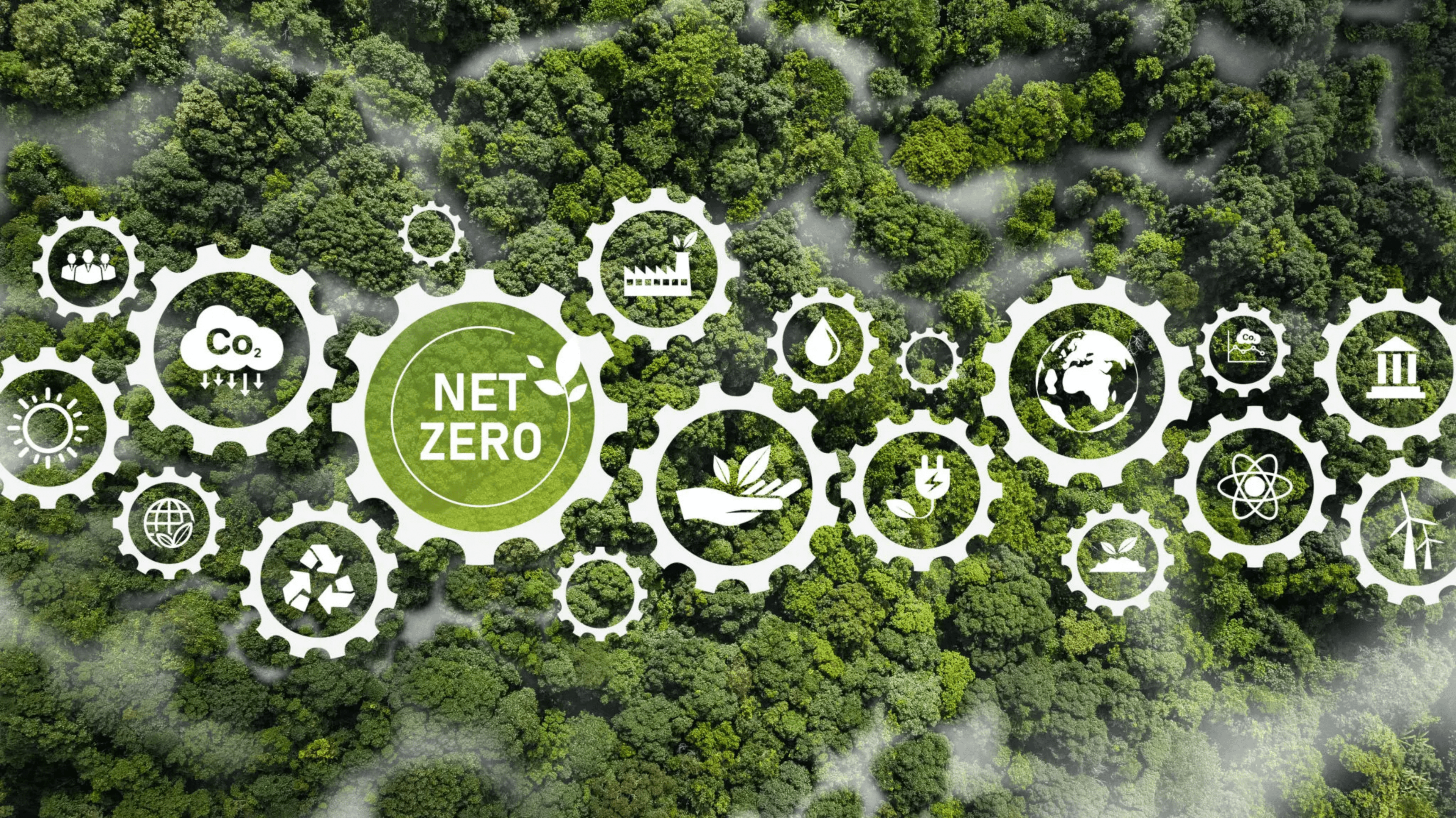 67ebfe3693bed_blob-d92333a A green forest with many gears and icons
